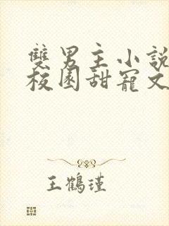 双男主小说推荐校园甜宠文