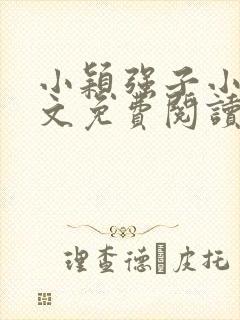 小颖强子小说全文免费阅读最新章节