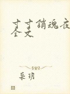 寸寸销魂夜春光全文