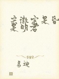 宋徽宗是昏君还是明君
