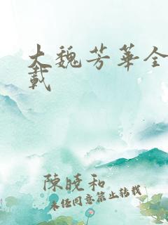 大魏芳华全集下载