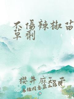 不伤辣椒苗的除草剂
