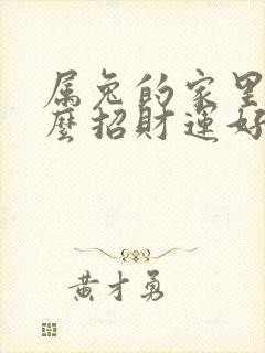 属兔的家里放什么招财运好