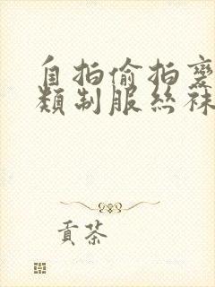自拍偷拍变态另类制服丝袜av
