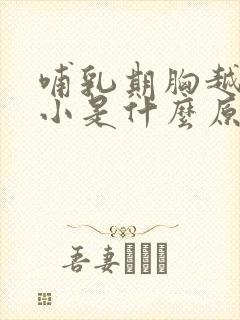 哺乳期胸越来越小是什么原因