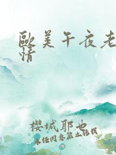 欧美午夜老妇激情