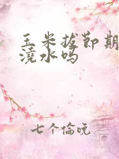 玉米拔节期需要浇水吗