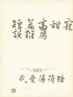 短篇高甜宠文小说推荐