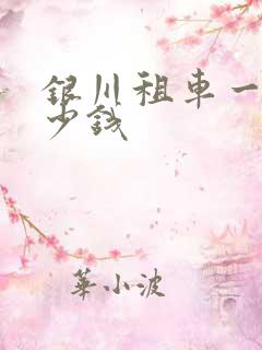 银川租车一天多少钱