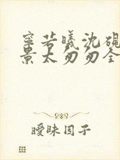 宁若曦沈砚舟盛景太匆匆全文小说