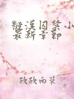 糙汉囚禁小美人最新章节