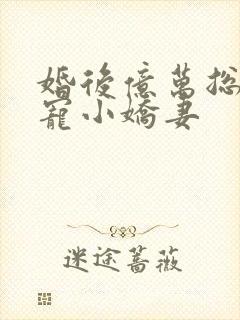 婚后亿万总裁独宠小娇妻