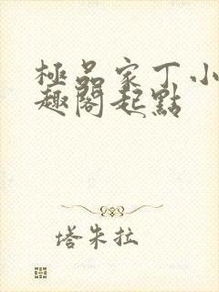 极品家丁小说笔趣阁起点