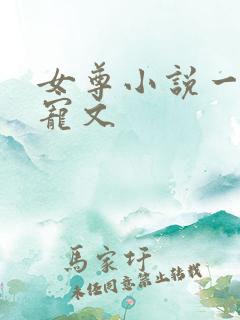 女尊小说一对一宠文