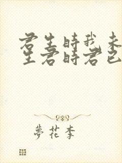 君生时我未生我生君时君已老