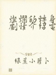 灿烂的转身分集剧情介绍电视猫