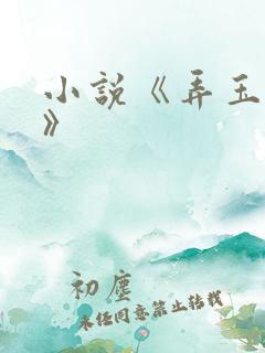 小说《弄玉偷香》