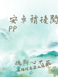 安卓稍后阅读app