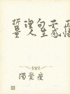 哲理句子 正能量 人生感悟 现实
