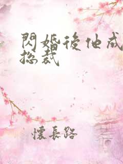 闪婚后他成宠妻总裁