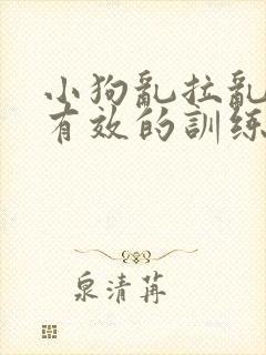 小狗乱拉乱尿最有效的训练方法
