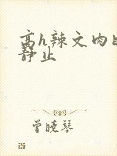 高h辣文肉时间静止