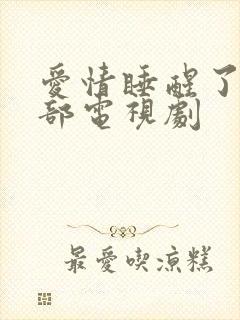 爱情睡醒了第二部电视剧