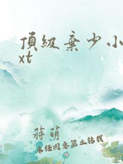 顶级弃少小说txt