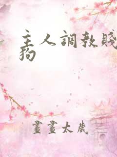 主人调教贱货母狗
