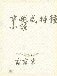 穿越成特种兵的小说