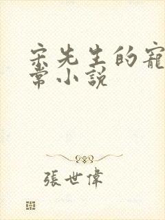 宋先生的宠妻日常小说