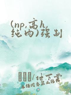(np,高h,纯肉)强制