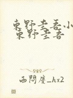 东野圭吾小说集 东野圭吾