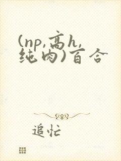 (np,高h,纯肉)百合
