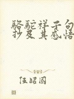 骆驼祥子句段摘抄及其感悟