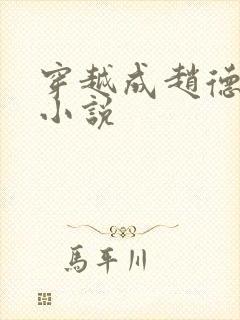 穿越成赵德昭的小说