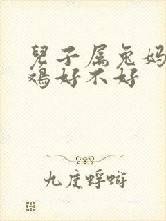 儿子属兔妈妈属鸡好不好