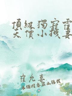顶级独宠霍爷的天价小拽妻全文免费阅读