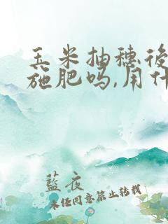玉米抽穗后还能施肥吗,用什么肥料比较好?