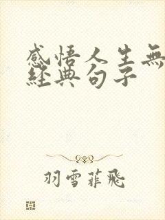 感悟人生无常的经典句子