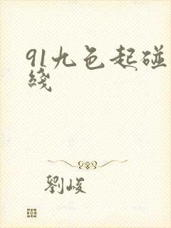 91九色起碰在线