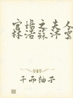 官场之夫人路线林浩苏沐云