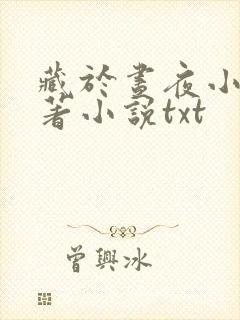藏于昼夜小说原著小说txt