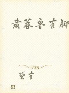 黄蓉鲁有脚小说