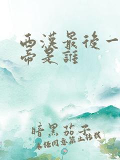 西汉最后一位皇帝是谁