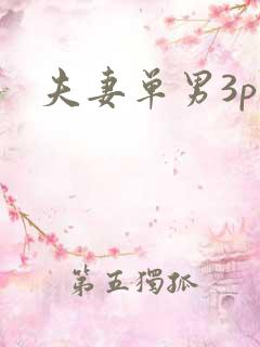 夫妻单男3p