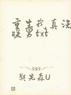 重生我真没想当暖男txt