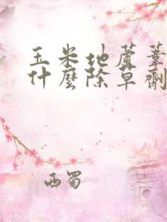 玉米地芦苇草用什么除草剂能除掉