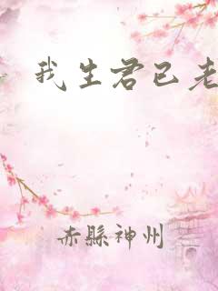 我生君已老