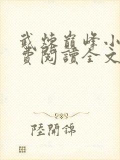 武炼巅峰小说免费阅读全文无删减杨开